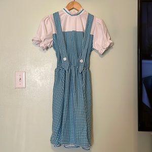 Wizard of Oz Halloween Costume- worn once